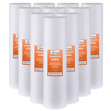 iSpring FP25BX10 5 micron Sediment Filter Replacement Cartridge, 4.5x20 in. , Pack of 10