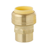 LittleWell ACPF12FPT8 Brass 3/4'' Push-Fit to 1/2'' NPT Female Pipe Thread Coupling, Works the Same as A SharkBite
