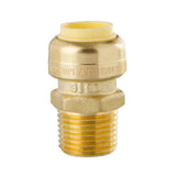 LittleWell ACPF8MPT8 Brass 1/2'' Push-Fit and Male Pipe Thread Coupling, Works the Same as A SharkBite