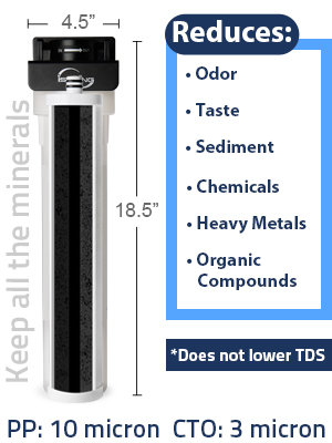 kitchen water filter