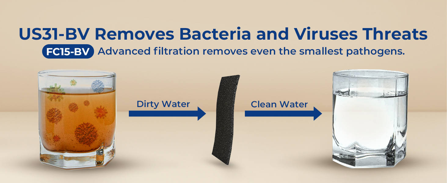 Remove Bacteria and Viruses