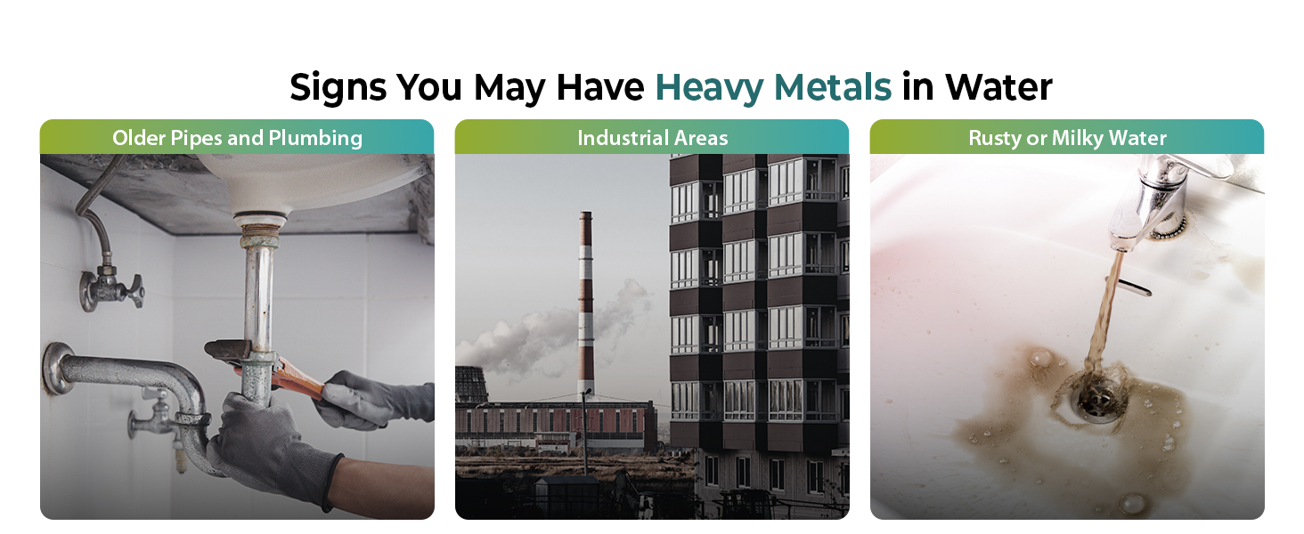 Heavy Metals