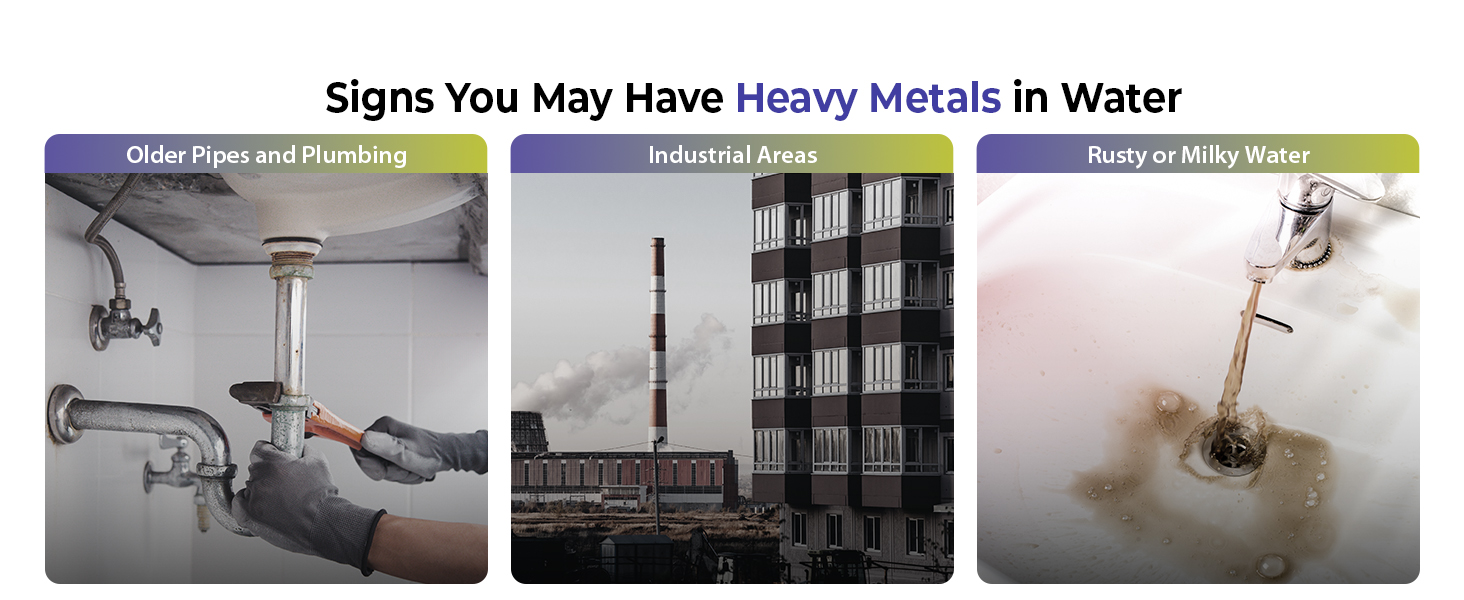 Heavy Metals