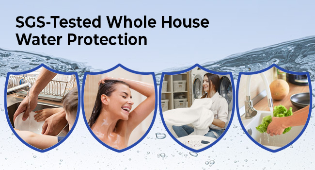 Protection