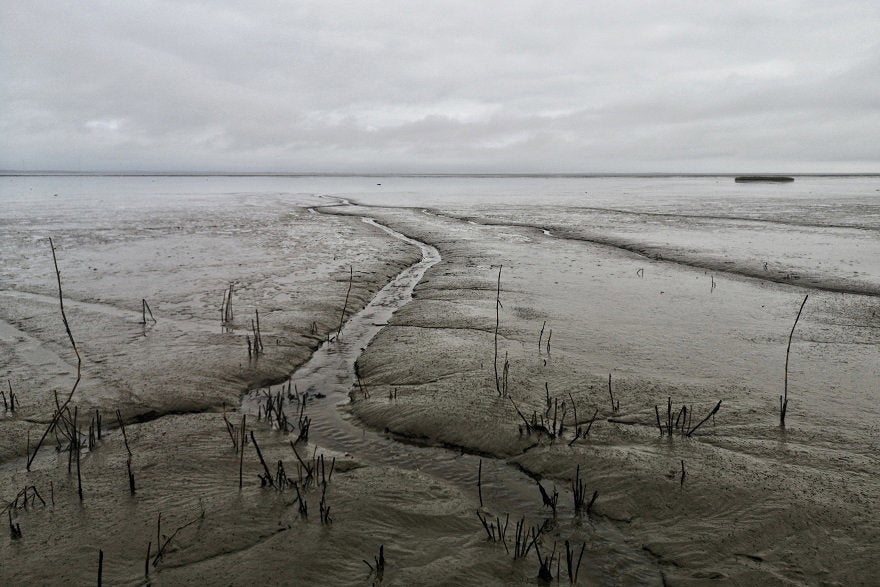wide-shot-mudflat-with-cloudy-gray-sky.jpg