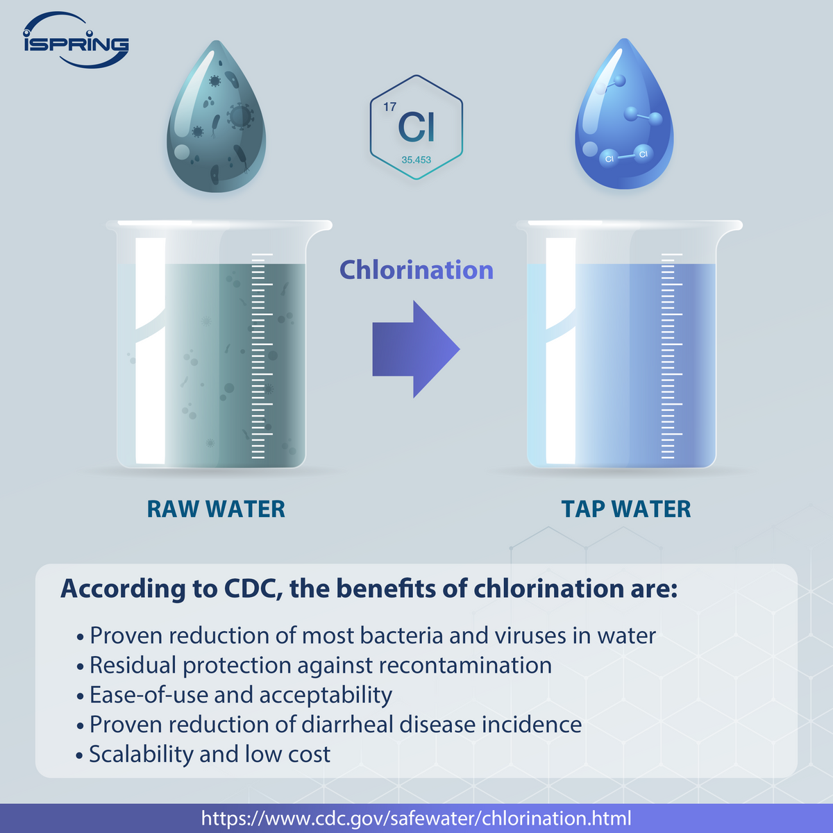 iSpring WWC25 Whole House Well Water Chlorinator System