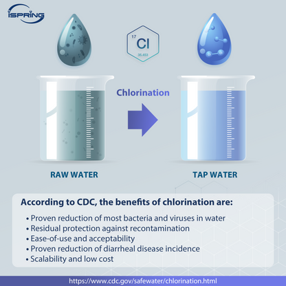 iSpring WWC25 Whole House Well Water Chlorinator System