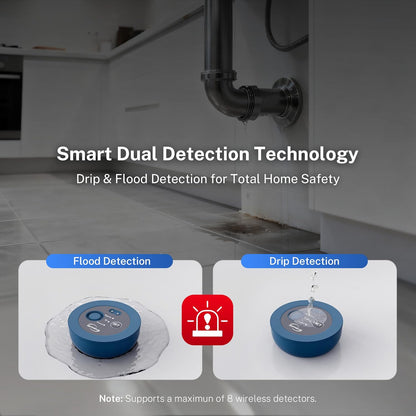 iSpring LS43WL Smart Leak Shut-Off System, Automatic Water Leak Detector with 1 Wired &amp; 1 Wireless Sensor, Whole-Home Water Damage Protection, 1" MNPT   3/4" FNPT