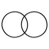 iSpring ORWJX2 Replacement O-ring for WSPARJ/WSPJ Series Reusable Spin Down Sediment Water Filter - Pack of 2