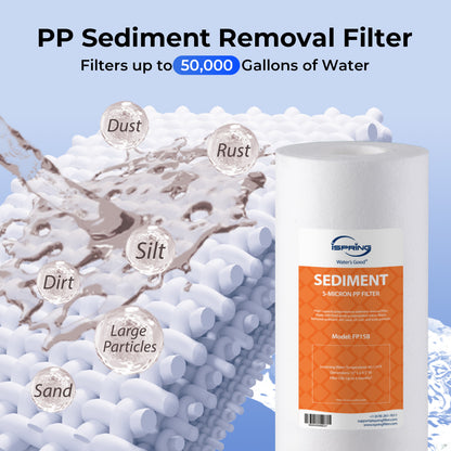 iSpring F3WGB31BPF Whole House Water Filter Replacement Pack, SGS-Tested, Remove up to 99% PFAS, Sediment, Chlorine, Taste &amp; Odor, Up to 12 Months,10" × 4.5", Fits WGB31B-PF