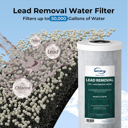 iSpring F3WGB31BCPB Whole House Water Filter Replacement Pack, SGS-Tested to Reduce up to 99% Lead, Also Targets Chlorine and Sediments, 10" × 4.5", Fits WGB31B-CPB