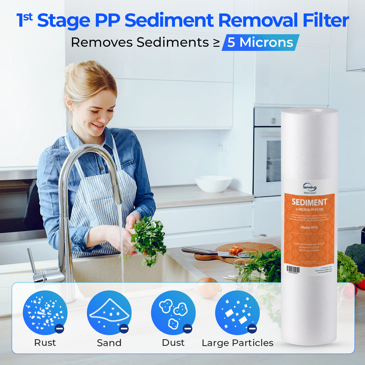 iSpring F9K NSF/ANSI 58 Certified 10" x 2.5"; Standard 6-Stage Alkaline Reverse Osmosis Water Filtration Systems 1-Year Filter Replacement Cartridges, 9-piece