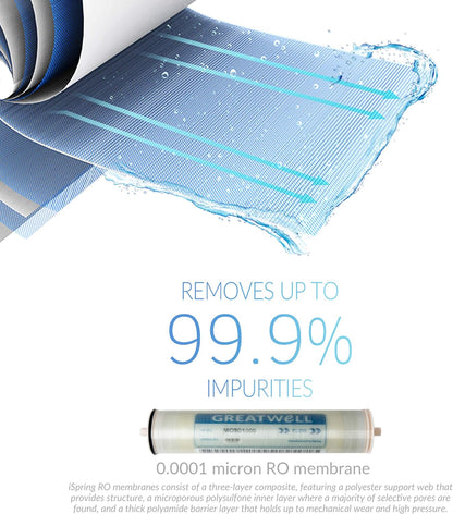 iSpring F10CRO1000 4.5'' x 20'' Tankless Commercial Reverse Osmosis Water Filter 1-Year Replacement Cartridge Pack, 10-Piece