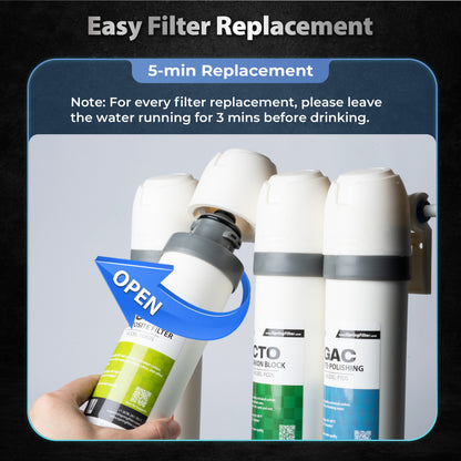 iSpring SGS-Tested PFAS Removal Carbon Block Replacement Water Filter Cartridge FCPFDS  for DS4 Series