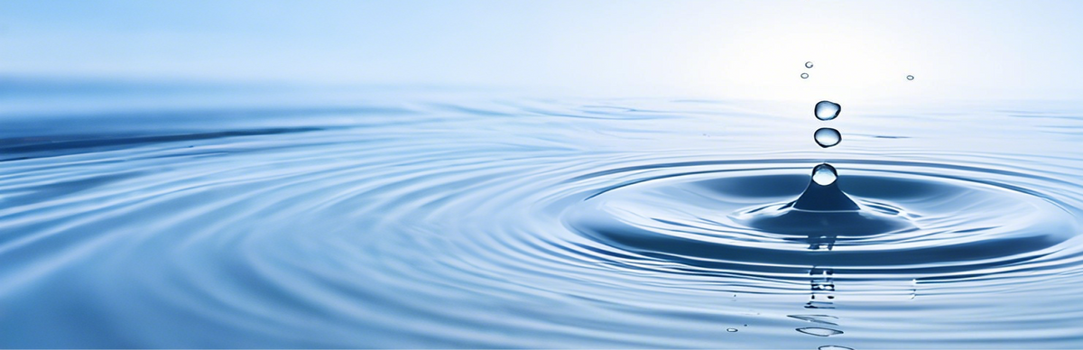 Blogs - ispringfilter