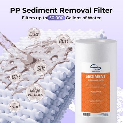 iSpring F3WGB31BDS Anti-Scale Whole House Water Filter Replacement Pack, Reduces up to 99% Chlorine, Scale, Odor, and Sediments, Up to 12 Months, 10" × 4.5", Fits WGB31B-DS