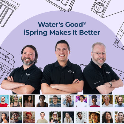 iSpring F3WGB31BDS Anti-Scale Whole House Water Filter Replacement Pack, Reduces up to 99% Chlorine, Scale, Odor, and Sediments, Up to 12 Months, 10" × 4.5", Fits WGB31B-DS