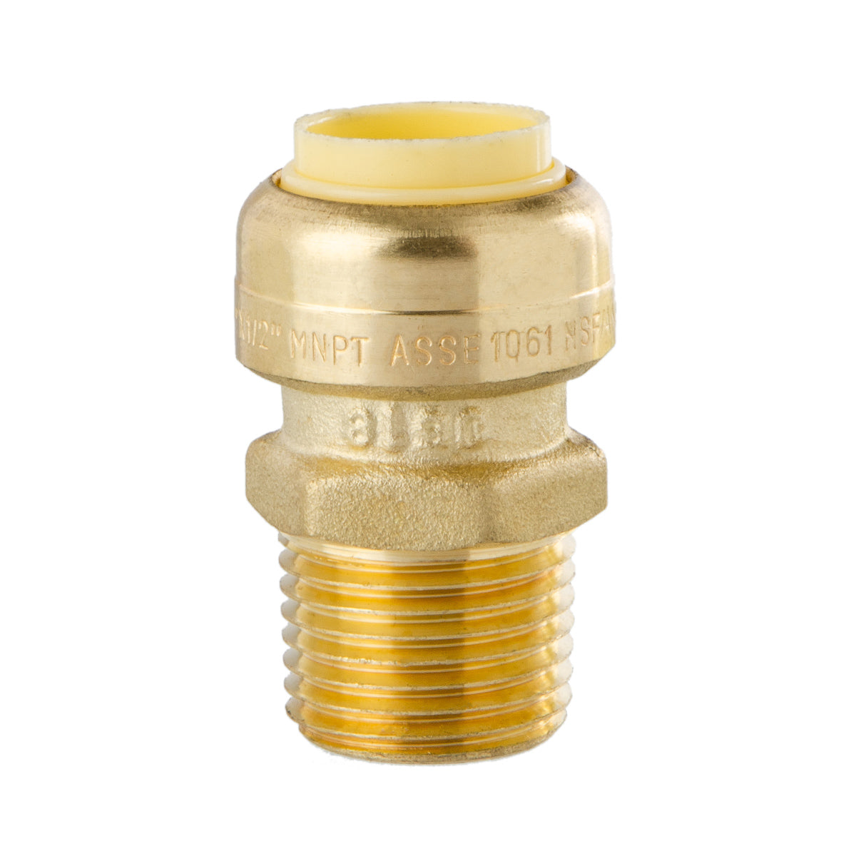 LittleWell ACPF8MPT8 Brass 1/2'' Push-Fit and Male Pipe Thread Coupling, Works the Same as A SharkBite
