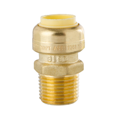 LittleWell ACPF8MPT8 Brass 1/2'' Push-Fit and Male Pipe Thread Coupling, Works the Same as A SharkBite