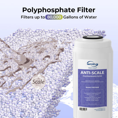 iSpring F3WGB31BKDS Ultimate Protection Whole House Water Filter Replacement Pack, Reduces Heavy Metals, Scale, Chlorine, Hydrogen Sulfide, Up to 12 Months, 10" × 4.5", Fits WGB31B-KDS