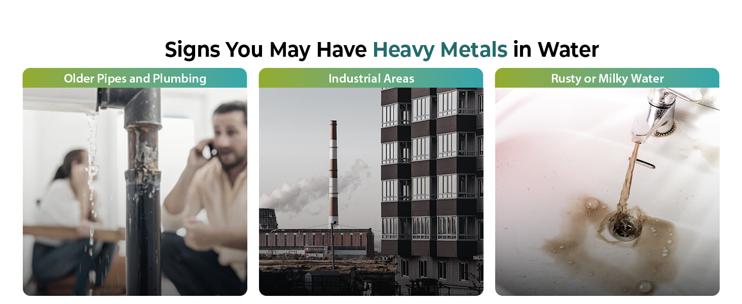 Heavy Metals